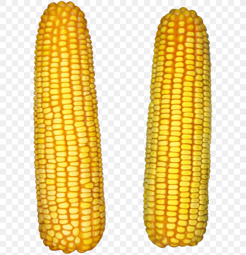 Corn On The Cob Popcorn Maize Sweet Corn, PNG, 603x847px, Corn On The Cob, Commodity, Corn Kernel, Corn Kernels, Cuisine Download Free
