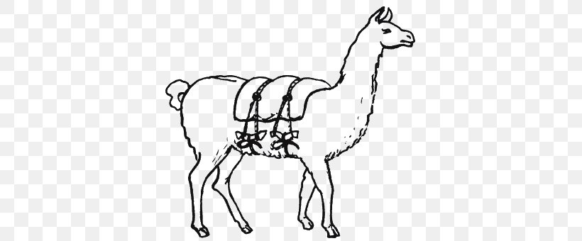 Llama Inca Empire Инки. Быт, религия, культура Vicuña Camel, PNG, 368x340px, Llama, Alpaca, Animal Figure, Animal Husbandry, Black And White Download Free