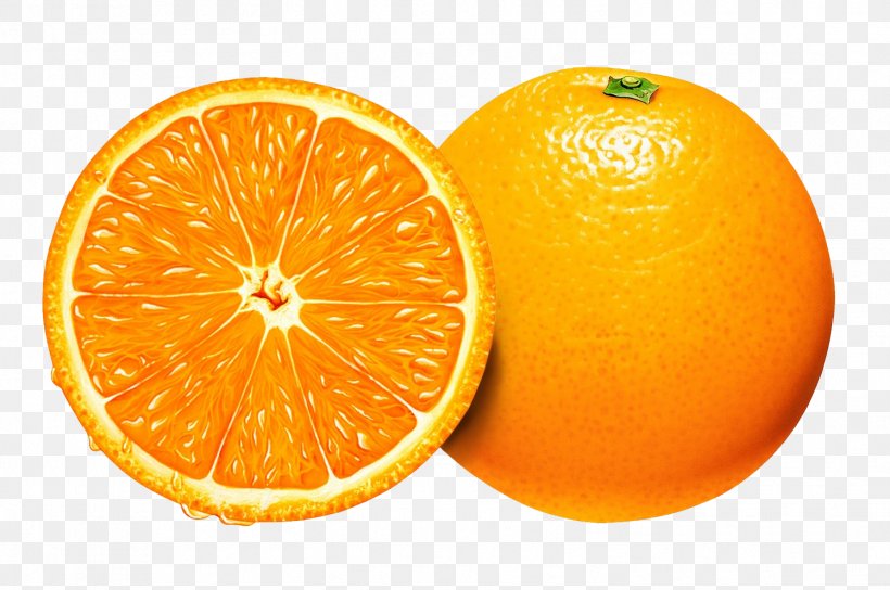 Orange Juice Clip Art, PNG, 1498x995px, Orange Juice, Bitter Orange, Blood Orange, Citric Acid, Citron Download Free