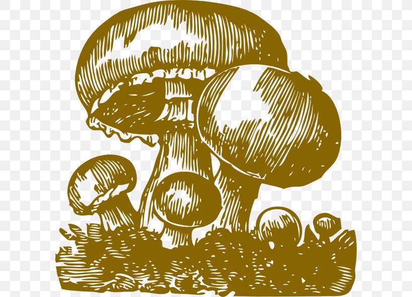 Clip Art, PNG, 600x592px, Mushroom, Black And White, Common Mushroom, Computer Software, Edible Mushroom Download Free