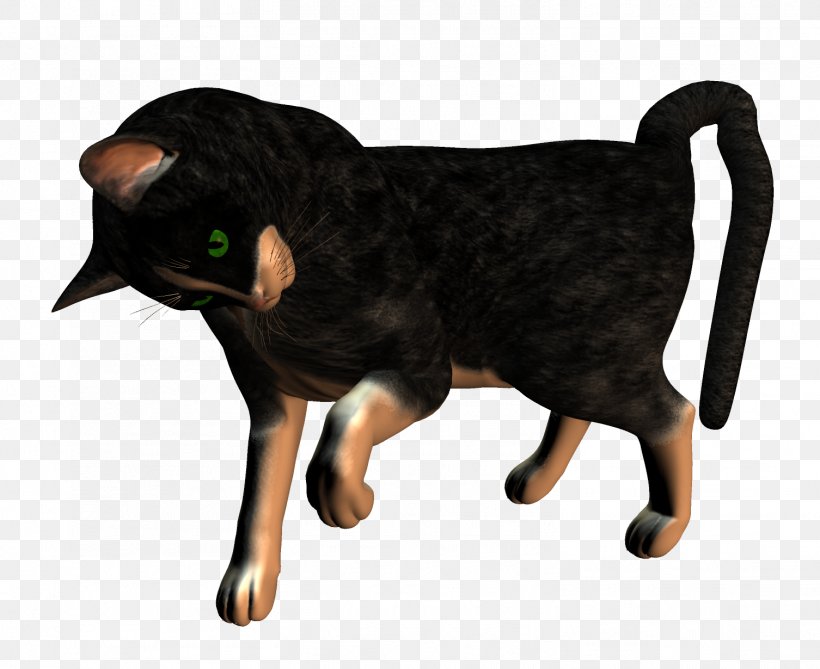 Dog Black Cat Whiskers, PNG, 1506x1230px, Dog, Animal, Black Cat, Carnivoran, Cat Download Free