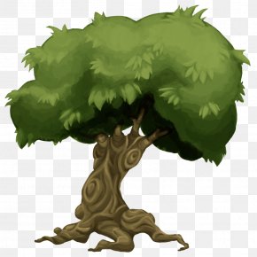 amazon rainforest trees clipart