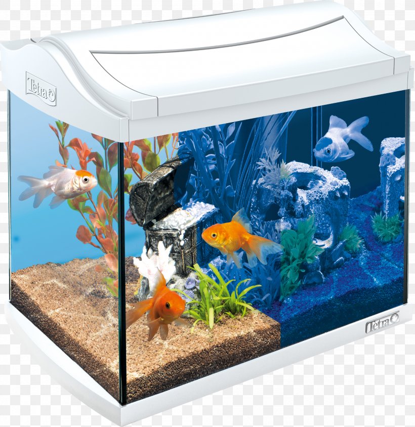 Goldfish Aquariums Tetra, PNG, 2103x2162px, Goldfish, Animal, Aquarium, Aquarium Decor, Aquarium Filters Download Free