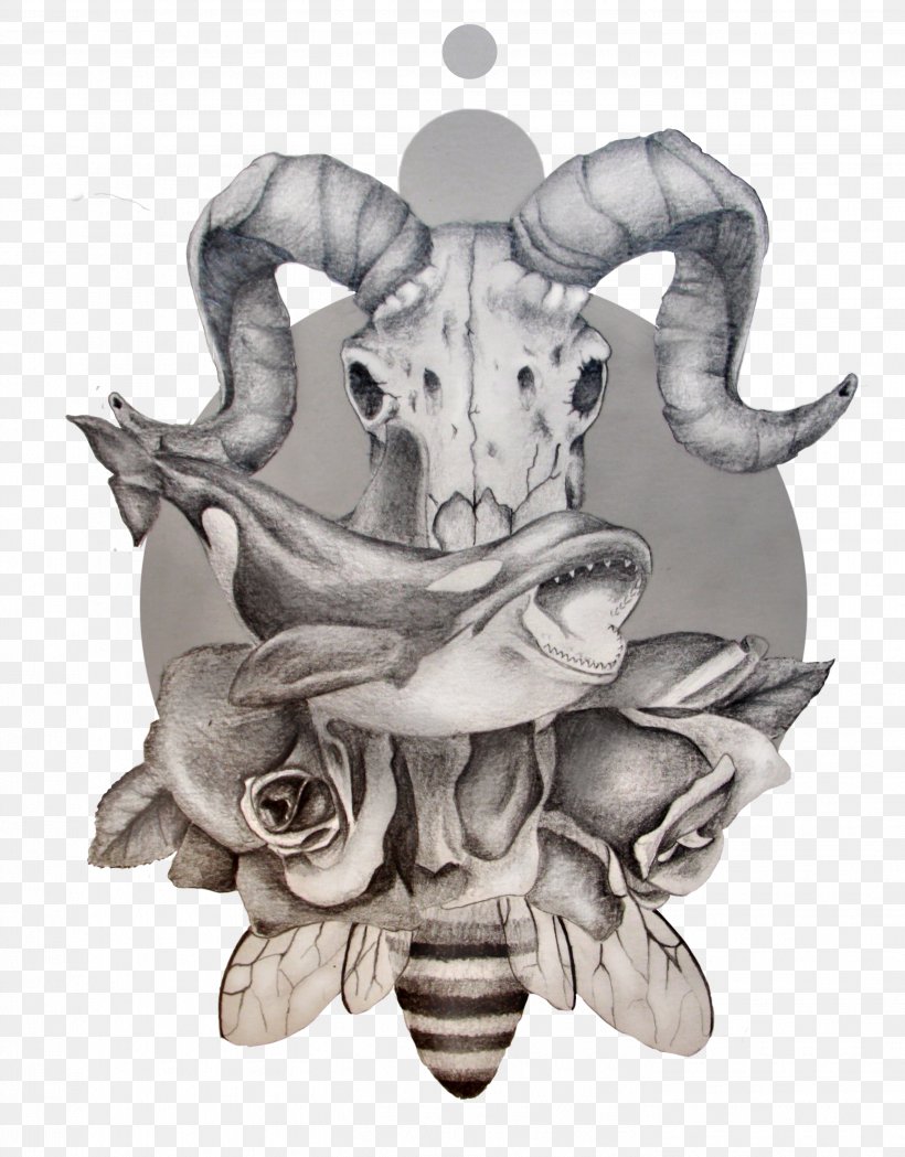 Illustration Drawing Skull Organism Skeleton, PNG, 2832x3624px, Drawing, Bone, Jaw, Joint, Organism Download Free