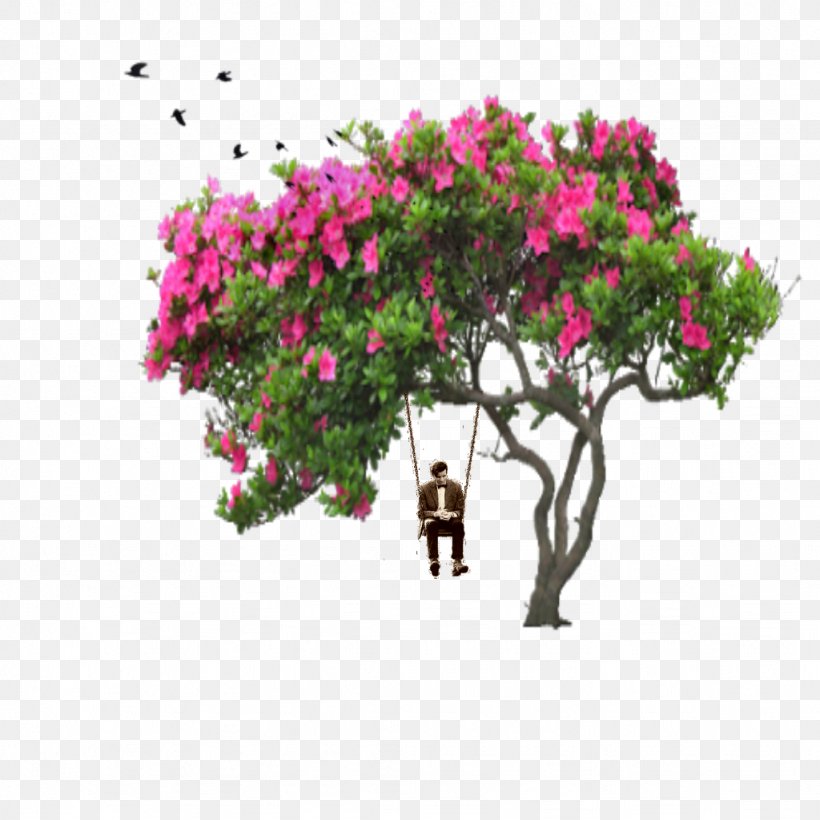 Pink Flower Cartoon, PNG, 1024x1024px, Shrub, Azalea, Bougainvillea, Crape Myrtle, Drawing Download Free