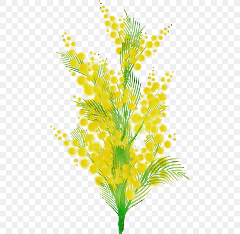 Yellow Plant Leaf Flower Grass, PNG, 477x800px, Watercolor, Flower, Flowering Plant, Grass, Leaf Download Free