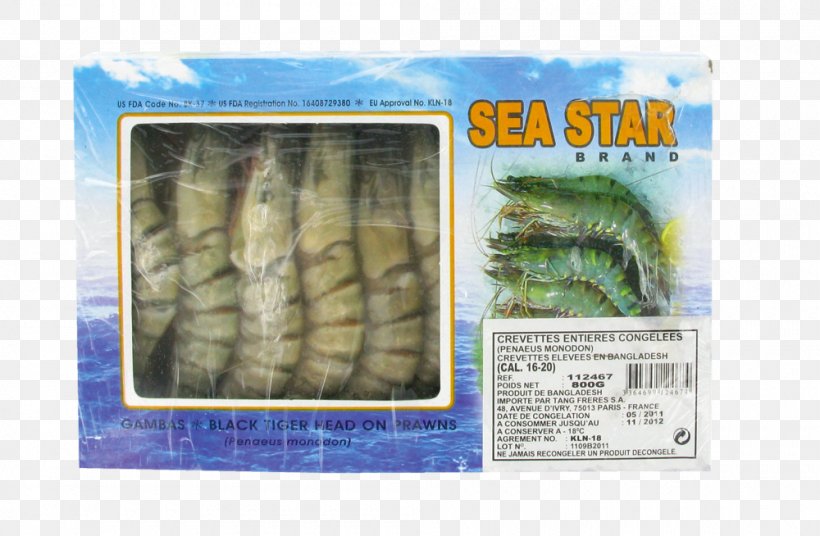 Crab Shrimp Cangrejo Tang Frères Tiger, PNG, 1000x654px, Crab, Cangrejo, Fauna, Flash Freezing, Organism Download Free