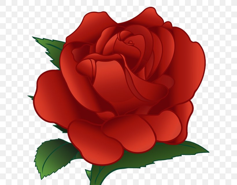 Flower Garden Roses Download Centifolia Roses Clip Art, PNG, 640x640px, Flower, Annual Plant, Camellia, Centifolia Roses, China Rose Download Free