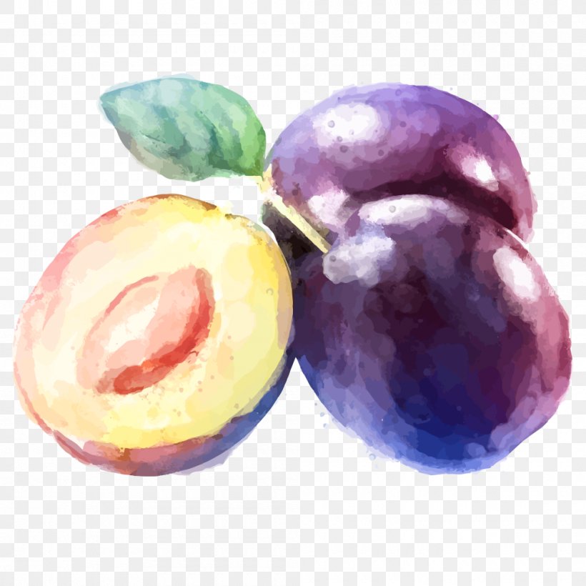 Fruit Watercolor Painting Drawing Plum, PNG, 1000x1000px, Fruit, Citrus, Creative Market, Damson, Drawing Download Free