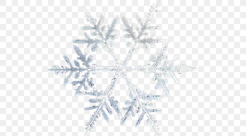 Snowflake Adobe Fireworks, PNG, 500x453px, Snowflake, Adobe Fireworks, Animation, Branch, Raster Graphics Download Free