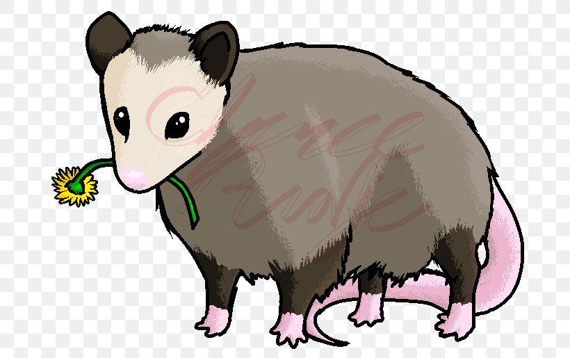 Cat Budgerigar Mouse Opossum DeviantArt, PNG, 734x515px, Cat, Animal, Animal Figure, Bird, Budgerigar Download Free