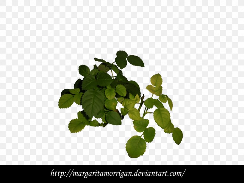 DeviantArt Plant Vine Tree, PNG, 1024x768px, Art, Artist, Deviantart, Etsy, Garden Download Free