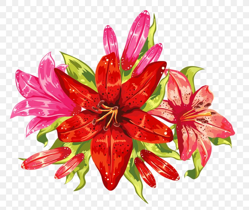 Flower Bouquet Poinsettia Tepal, PNG, 800x691px, Flower, Blume, Cut Flowers, Floral Design, Floristry Download Free