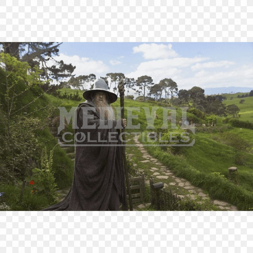 Gandalf The Lord Of The Rings The Hobbit Bilbo Baggins, PNG, 850x850px, Gandalf, Archaeological Site, Bilbo Baggins, Desolation Of Smaug, Grass Download Free