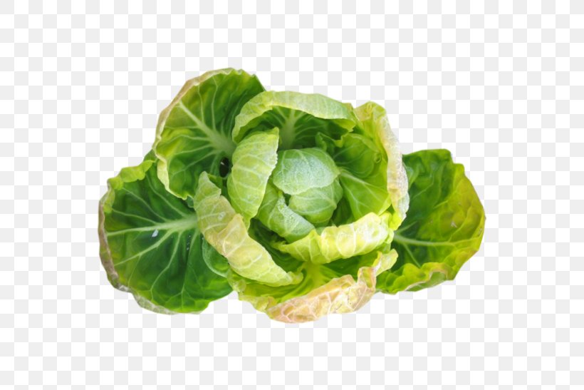Romaine Lettuce Brussels Sprout Vegetarian Cuisine Vegetable Red Leaf Lettuce, PNG, 699x547px, Romaine Lettuce, Brussels Sprout, Cabbage, Chard, Collard Greens Download Free