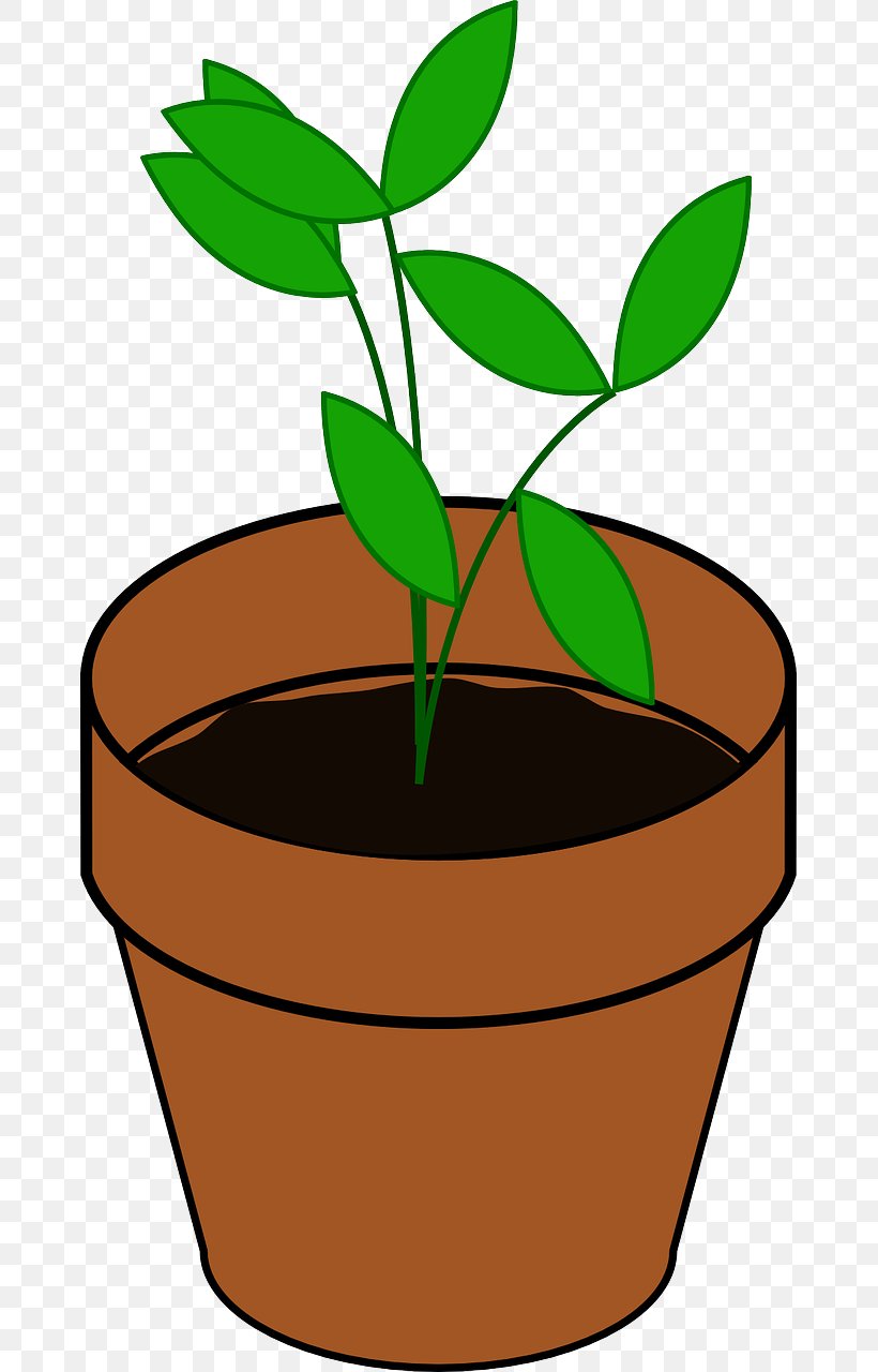 Clip Art Vector Graphics Flowerpot Image Drawing, PNG, 669x1280px, Flowerpot, Artwork, Cartoon, Drawing, Flower Download Free