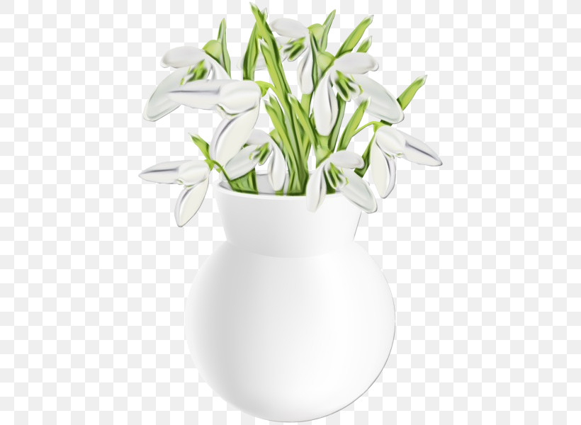 Flower White Flowerpot Plant Snowdrop, PNG, 438x600px, Watercolor, Amaryllis Family, Anthurium, Cut Flowers, Dendrobium Download Free