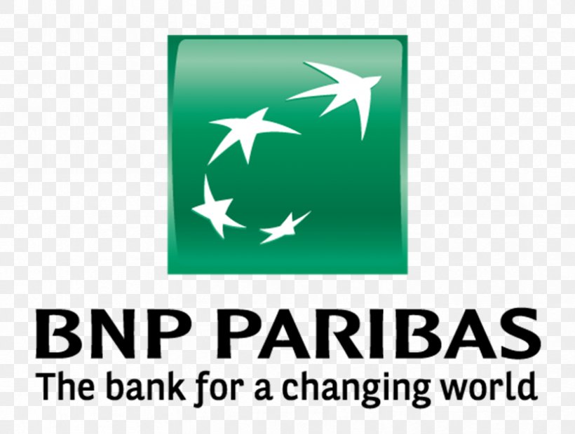 BNP Paribas Fortis Bank Financial Services BNP Paribas Asset Management, PNG, 832x630px, Bnp Paribas, Area, Bank, Bnp Paribas Asset Management, Bnp Paribas Fortis Download Free