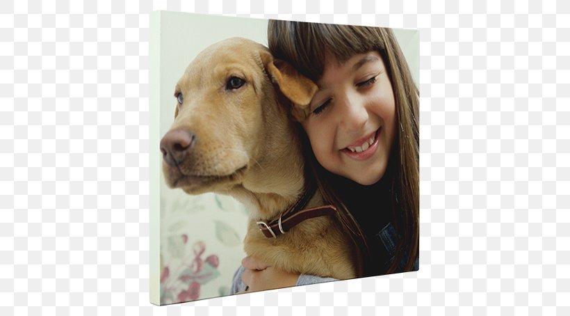 Boxer Child Dog Breed Service Dog Alabama Rot, PNG, 650x454px, Boxer, Alabama Rot, Animal Rescue Group, Behavior, Breed Download Free