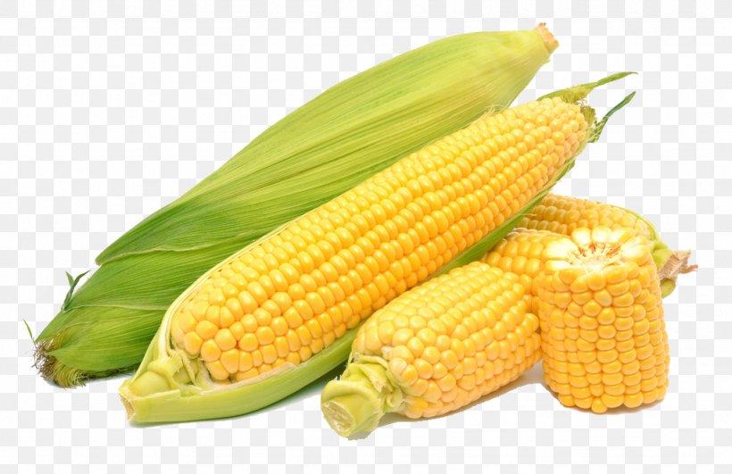 Corn On The Cob Maize Sweet Corn, PNG, 1024x664px, Corn On The Cob, Cereal, Commodity, Corn Kernels, Corn Nut Download Free