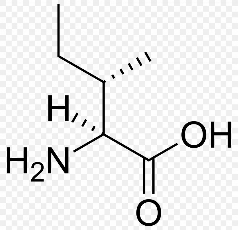 Isoleucine Branched-chain Amino Acid Proteinogenic Amino Acid Essential Amino Acid, PNG, 1920x1859px, Leucine, Acid, Area, Black And White, Branchedchain Amino Acid Download Free