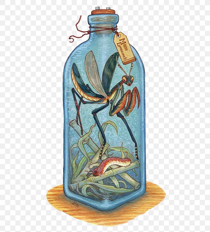 Legendary Creature Drawing Bottle Watercolor Painting Monster, PNG, 564x905px, Legendary Creature, Art, Bottle, Concept Art, Drawing Download Free