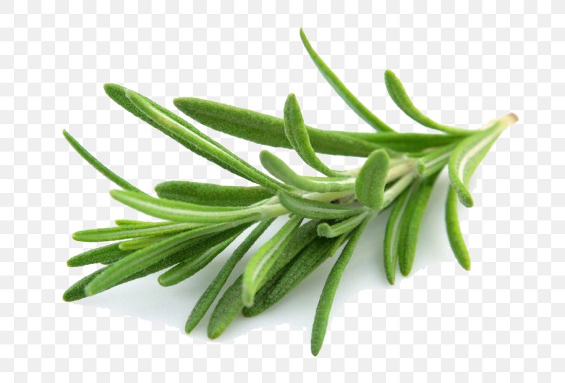 Mediterranean Cuisine Rosemary Oil Herb Mints, PNG, 760x556px, Mediterranean Cuisine, Basil, Carnosic Acid, Extract, Flavor Download Free