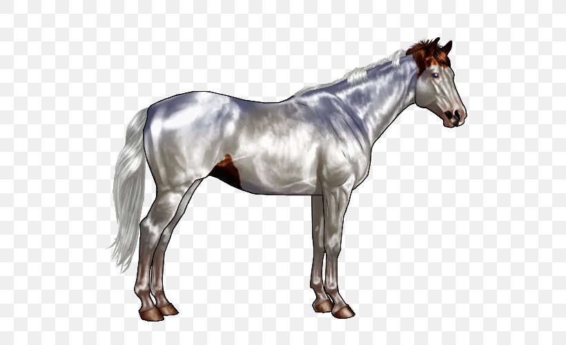 Sabino Horse Pony Chestnut Equine Coat Color, PNG, 600x500px, Horse, Black, Bridle, Brindle, Buckskin Download Free