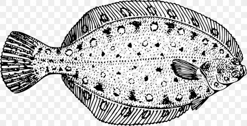 Flatfish Flounder Clip Art, PNG, 958x491px, Flatfish, Black And White, European Plaice, Fish, Flounder Download Free
