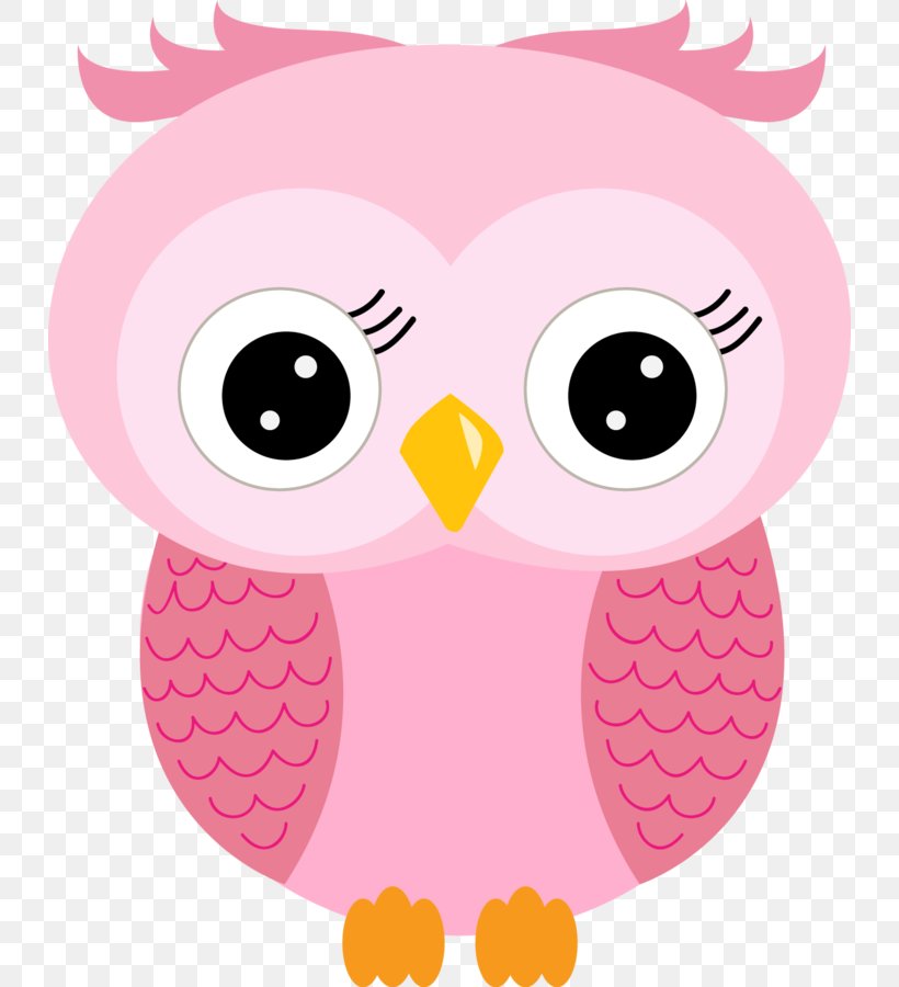 Little Owl Clip Art Image Barn Owls, PNG, 732x900px, Owl, Artwork, Beak, Bird, Bird Of Prey Download Free