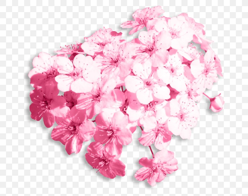Flower Social Media Wedding, PNG, 700x647px, Flower, Azalea, Blog, Blossom, Bride Download Free