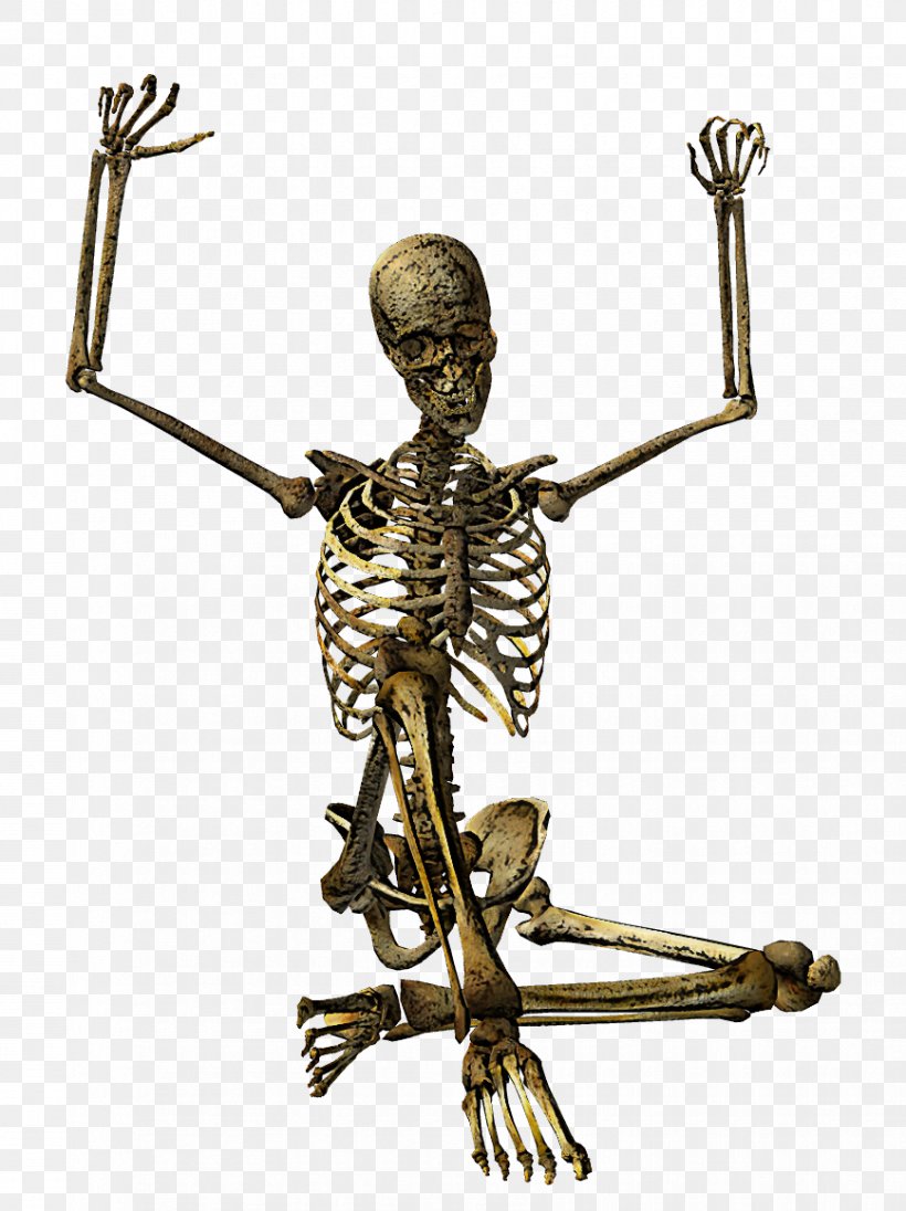 Skeleton Religious Item Metal Symbol, PNG, 868x1161px, Skeleton, Metal, Religious Item, Symbol Download Free