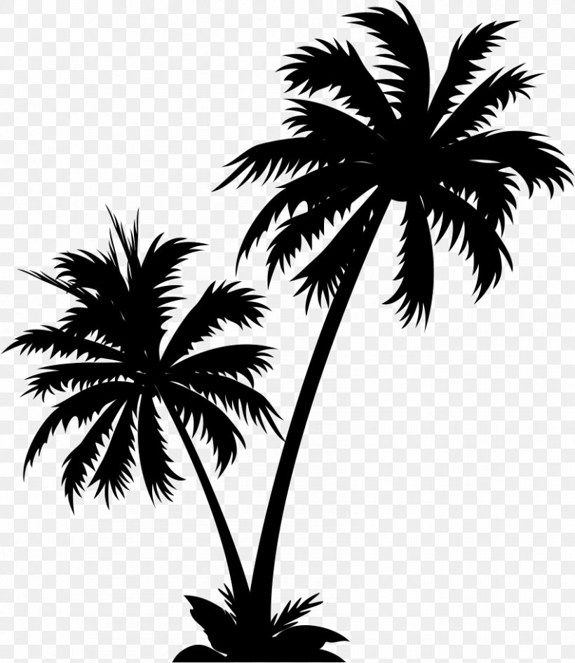 Vector Graphics Palm Trees Clip Art Illustration Royalty-free, PNG, 850x981px, Palm Trees, Arecales, Black And White, Borassus Flabellifer, Date Palm Download Free