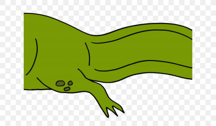 Alligator Cartoon, PNG, 640x480px, Tadpole, Alligator, Cartoon, Coloring Book, Crocodilia Download Free