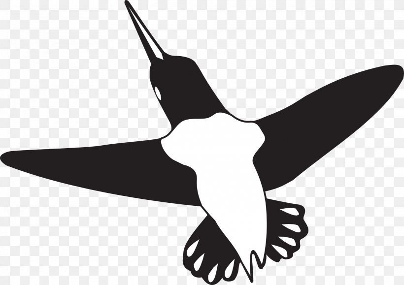 Beak Hummingbird Wing Clip Art, PNG, 1920x1356px, Beak, Animal, Bird, Black And White, Google Hummingbird Download Free