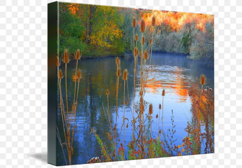 Painting Bayou Acrylic Paint Gallery Wrap Wetland, PNG, 650x570px, Painting, Acrylic Paint, Acrylic Resin, Art, Autumn Download Free