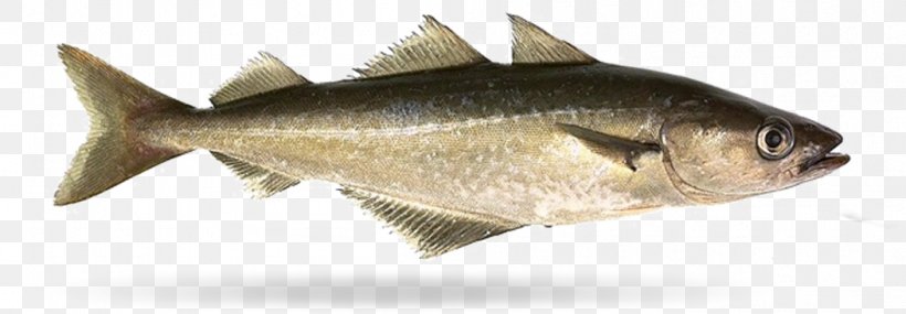 Pollock Milkfish Filet-O-Fish Fishing, PNG, 1052x366px, Pollock, Animal Figure, Fauna, Filetofish, Fish Download Free