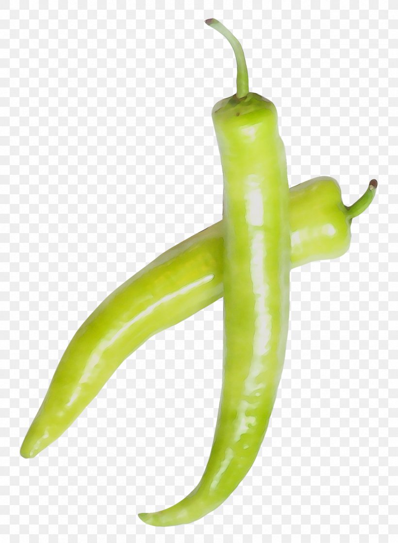 Serrano Pepper Bird's Eye Chili Pasilla Yellow Pepper Cayenne Pepper, PNG, 1694x2310px, Serrano Pepper, Banana, Bell Pepper, Bell Peppers And Chili Peppers, Birds Eye Chili Download Free