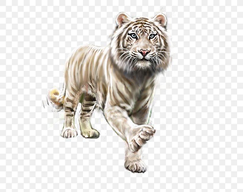 White Tiger, PNG, 650x650px, Tiger, Big Cats, Black Tiger, Carnivoran, Cat Like Mammal Download Free