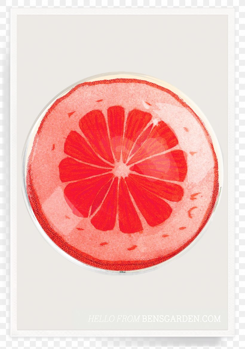 Ben's Garden Glass Decoupage Grapefruit Tray, PNG, 1348x1920px, Glass, Craft, Decoupage, Food, France Download Free