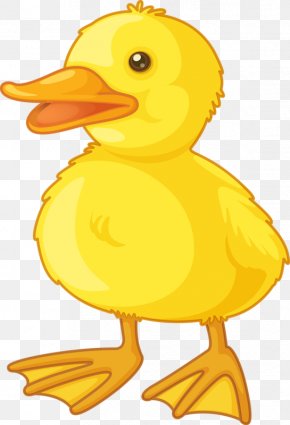 Cartoon Rubber Duck Images, Cartoon Rubber Duck Transparent PNG, Free ...