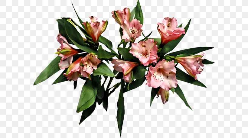 Lily Of The Incas Floral Design Cut Flowers Flower Bouquet, PNG, 600x457px, Lily Of The Incas, Alstroemeriaceae, Cut Flowers, Floral Design, Floristry Download Free