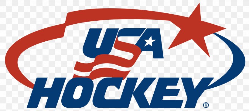 Logo National Hockey League United States National Men's Hockey Team USA Hockey Arena Ice Hockey, PNG, 2546x1134px, Logo, Area, Artwork, Blue, Brand Download Free