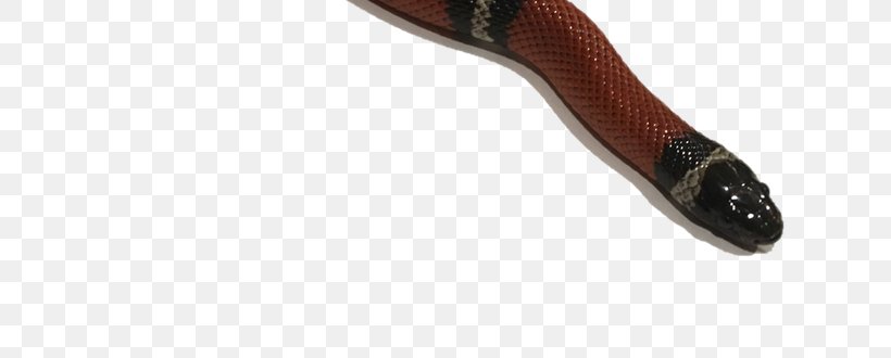 Shoe Product Design, PNG, 800x330px, Shoe Download Free