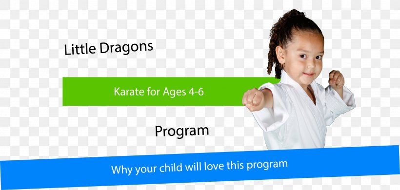 Child Taekwondo Sterner's Tae Kwon Do Academy Karate Martial Arts, PNG, 2612x1244px, Child, Advertising, Ashburn, Banner, Brand Download Free