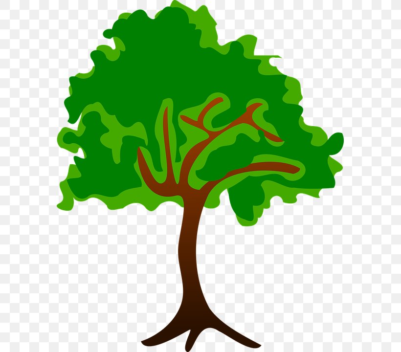 Desktop Wallpaper Clip Art, PNG, 587x720px, Public Domain, Branch, Green, Leaf, Organism Download Free