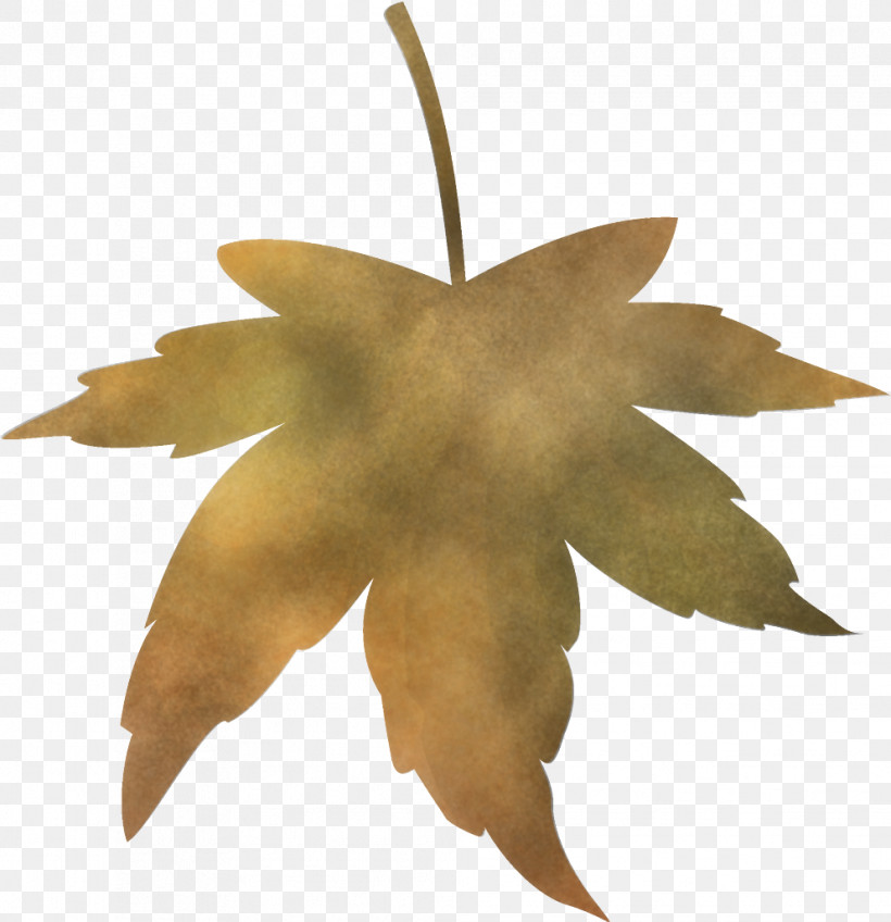 Maple Leaf Fallen Leaf Dead Leaf, PNG, 992x1026px, Maple Leaf, Autumn Leaf, Black Maple, Dead Leaf, Fallen Leaf Download Free