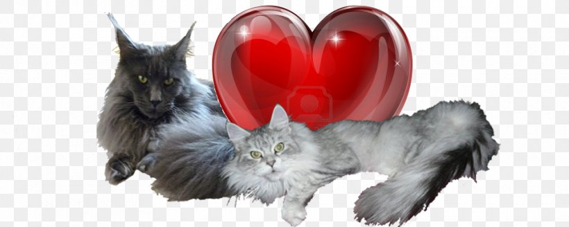 Whiskers Kitten Dog Breed Fur, PNG, 960x385px, Watercolor, Cartoon, Flower, Frame, Heart Download Free