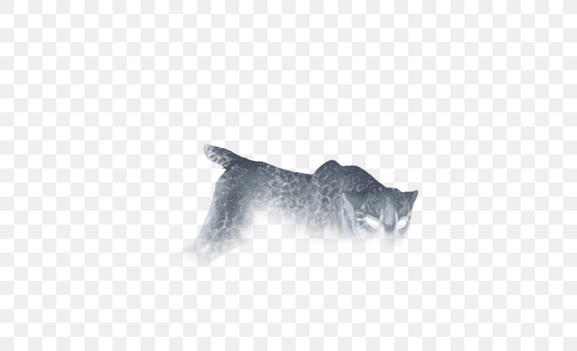 Cat Whiskers Mammal Dog Carnivora, PNG, 640x500px, Cat, Animal, Black, Black And White, Black M Download Free
