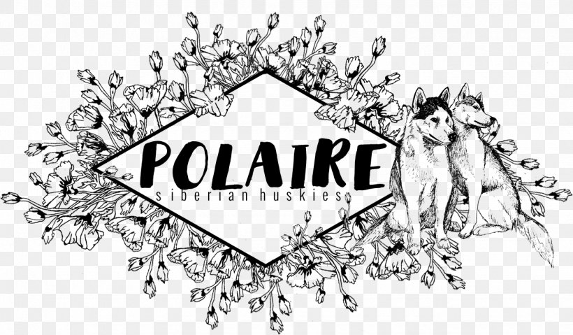 Logo Graphic Design Line Art Font, PNG, 1335x780px, Logo, Artwork, Black And White, Body Jewellery, Body Jewelry Download Free